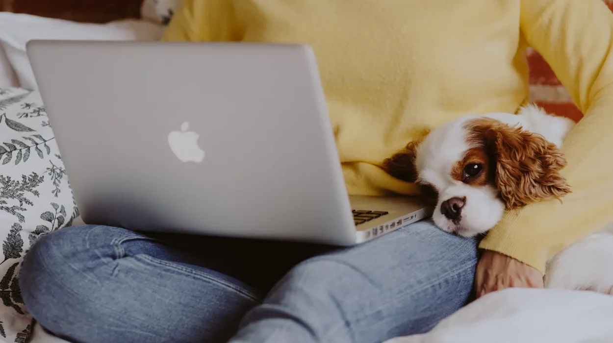 Benutzerfreundliches Terminbuchungssystem für Tierarztpraxen – einfache Online-Terminvergabe für mehr Komfort und Effizienz