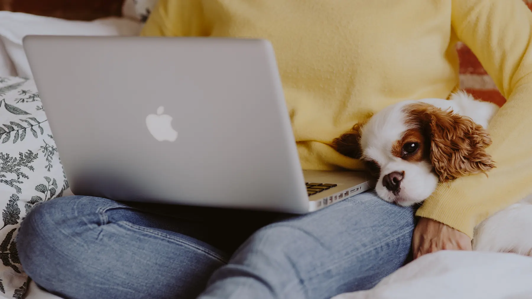 Benutzerfreundliches Terminbuchungssystem für Tierarztpraxen – einfache Online-Terminvergabe für mehr Komfort und Effizienz