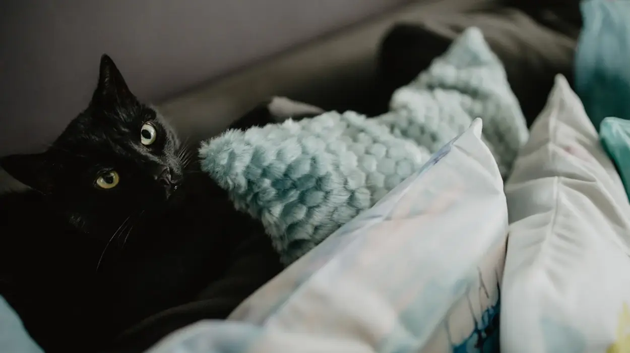 Tierärzteteam auf der Praxiswebsite vorstellen – Vertrauen aufbauen und persönliche Nähe durch authentische Teampräsentation schaffen