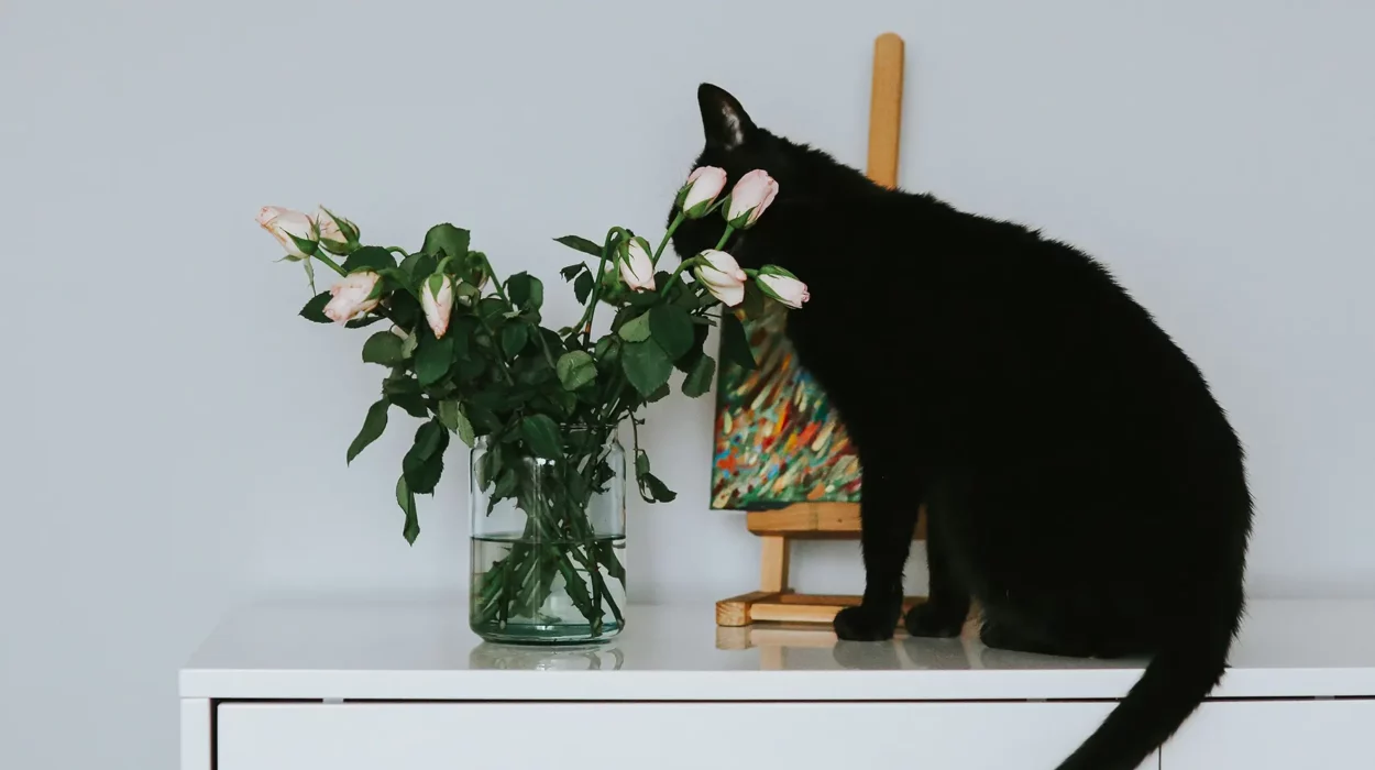 Mobilfreundliches Design für Tierarzt-Websites – optimale Darstellung und Benutzererlebnis auf Smartphones und Tablets sichern