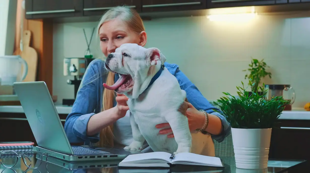 Newsletter für Tierarztpraxen Aufbau, Tools Inhalte