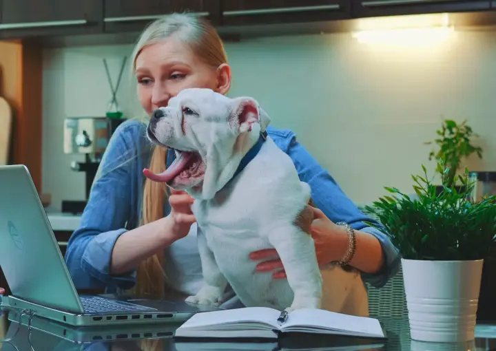 Newsletter für Tierarztpraxen Aufbau, Tools Inhalte